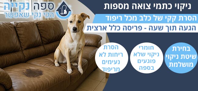 ניקוי כתמי צואה מספה